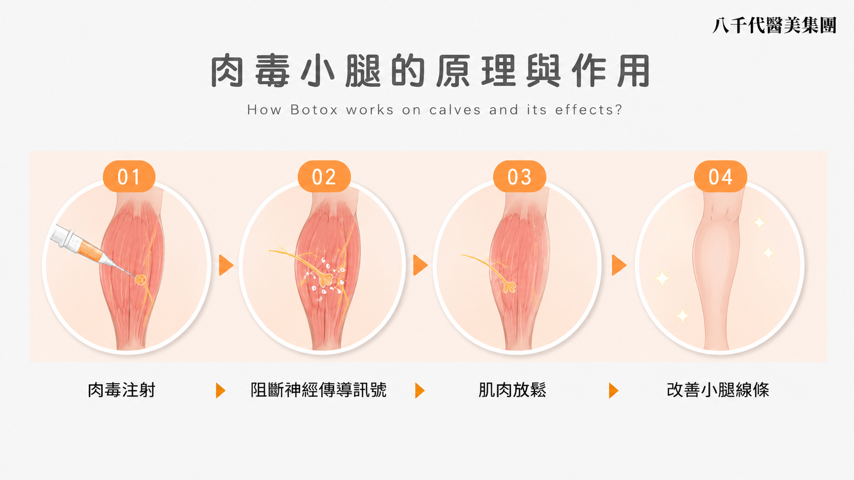 肉毒小腿的作用原理