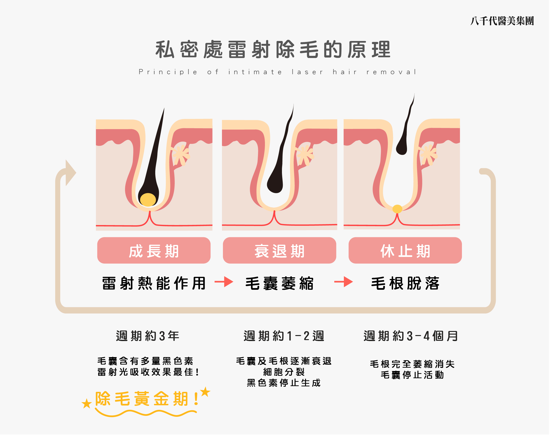 私密處雷射除毛原理