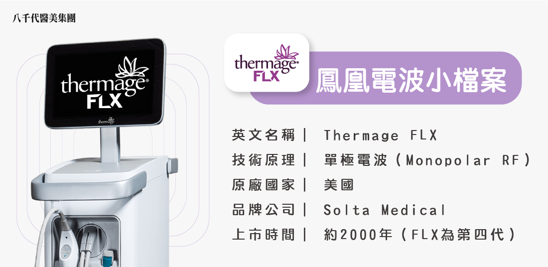 鳳凰電波小檔案